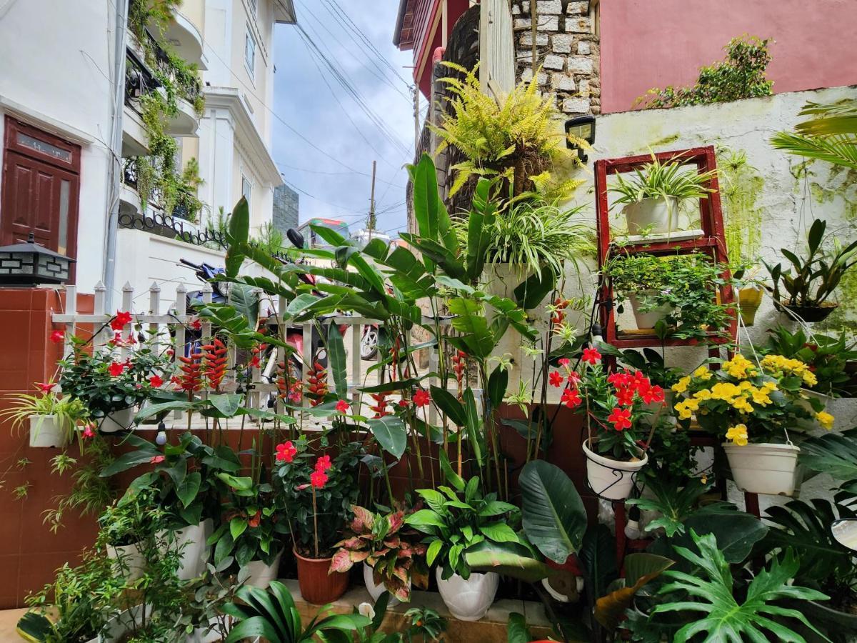 Binh Dao Hotel - Khach San Ngay Trung Tam Gia Re 大叻 外观 照片